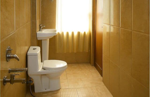 Hotel Lajja — photo 11