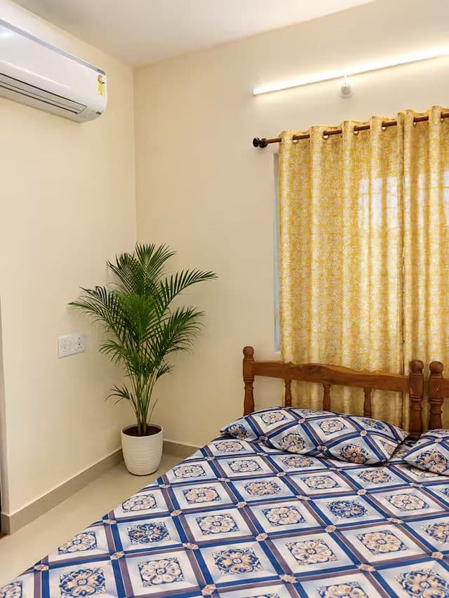 Zyra -Studio on Mapusa-Calangute Road — photo 5