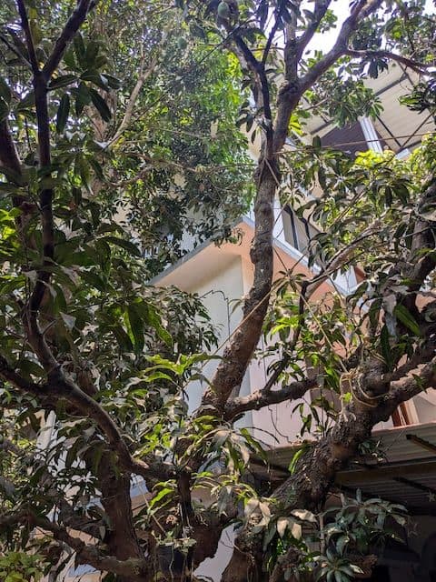 Shivakrupa Guest House Prime Location + Parking  — photo 24