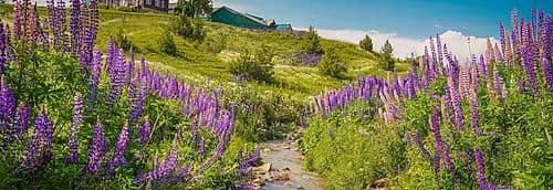 Gulmarg Woods by Stay Pattern - Gondola — photo 4