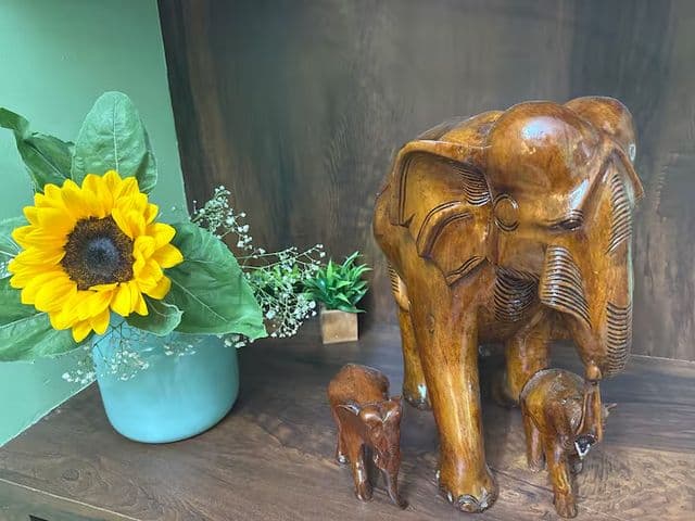 Visit Saanuyum for enjoyable experience — photo 9