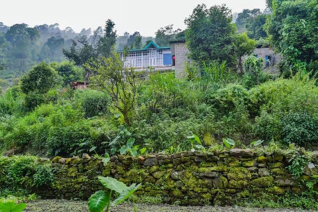 Mud House Machaan near Nainital — photo 35