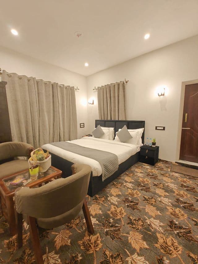 Deluxe room — photo 8