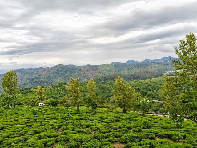 GNM Lavender Suite with Private Terrace & Waterfall View in Coonoor — photo 17