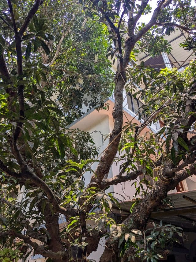 Shivkrupa Guest House  — photo 18