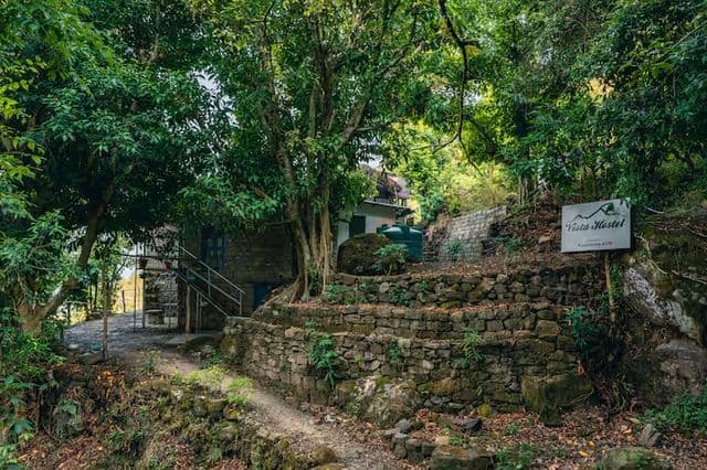 Mud House Machaan near Nainital — photo 17