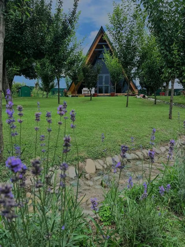 Villa Cottage — photo 16