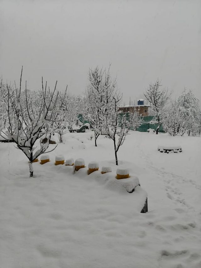 Photo 4