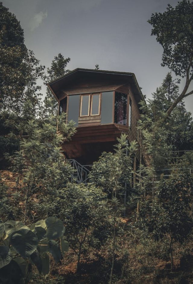 Humming Rills – "Sky Garrett" Nested on a Mountain beside a pristine stream and a natural waterfall, Waynad 