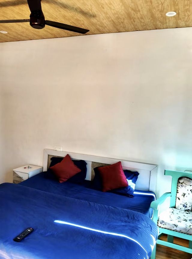 Photo 4